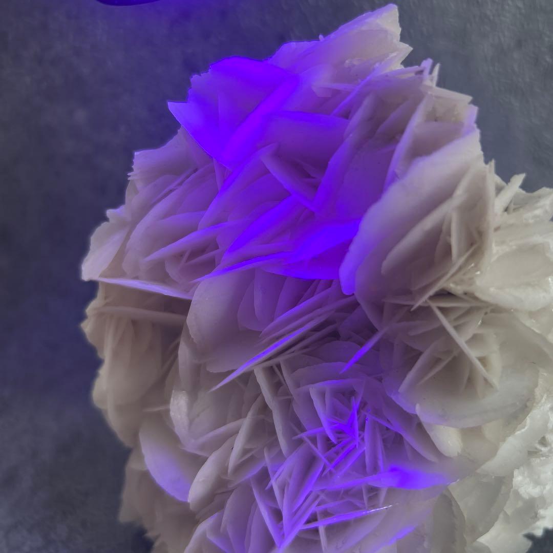 ホワイトローズカルサイト　白薔薇　カルサイト③