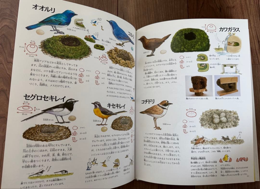 岩崎書店　絵本図鑑シリーズ　全３１巻