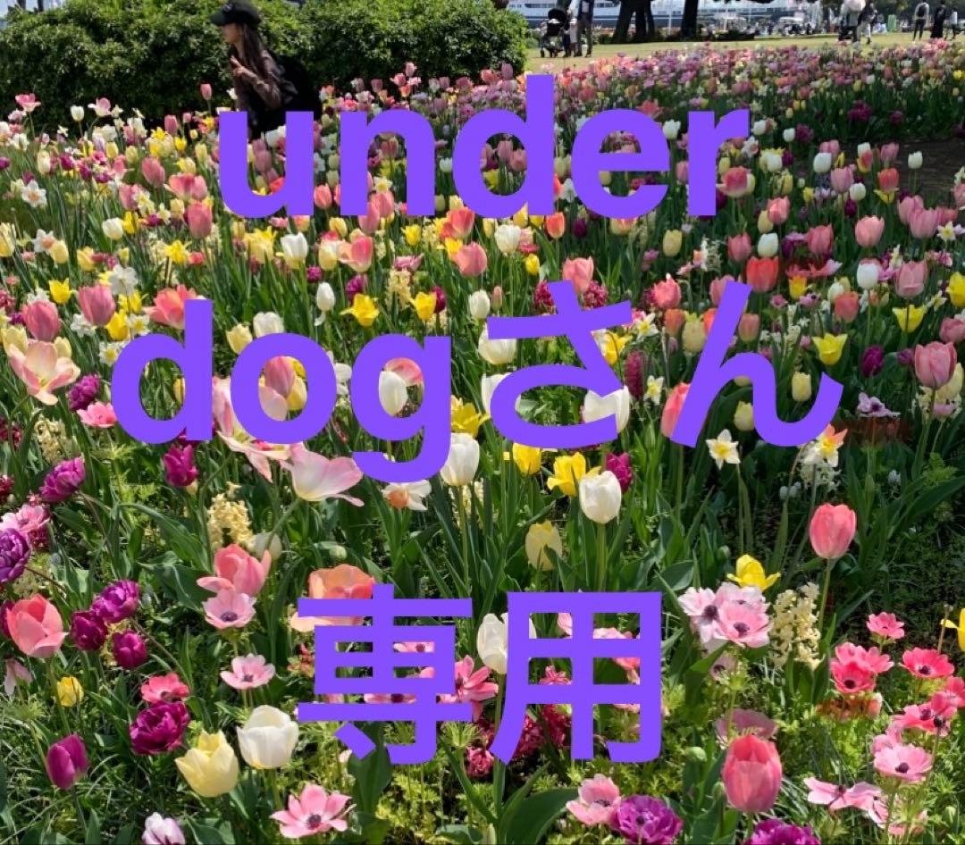 レミパンプラス　レッド　新品未使用