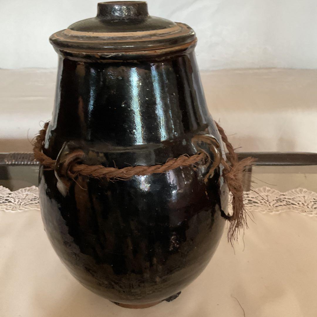 琉球油壺希少な蓋あり