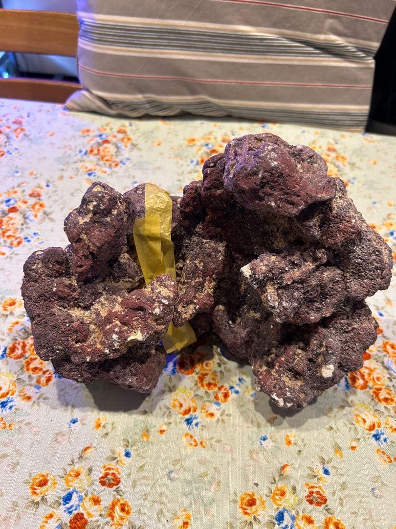 ライブロック新品未使用　休眠バクテリア付き　ドーム型　横幅 25cm、4kg