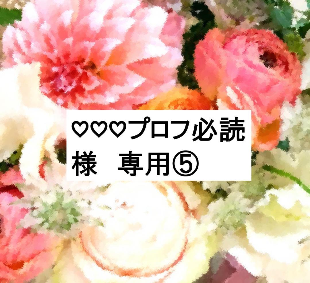 ♡♡♡プロフ必読⑤ ディスク全未開封 2023年 最新版フルセット DWE