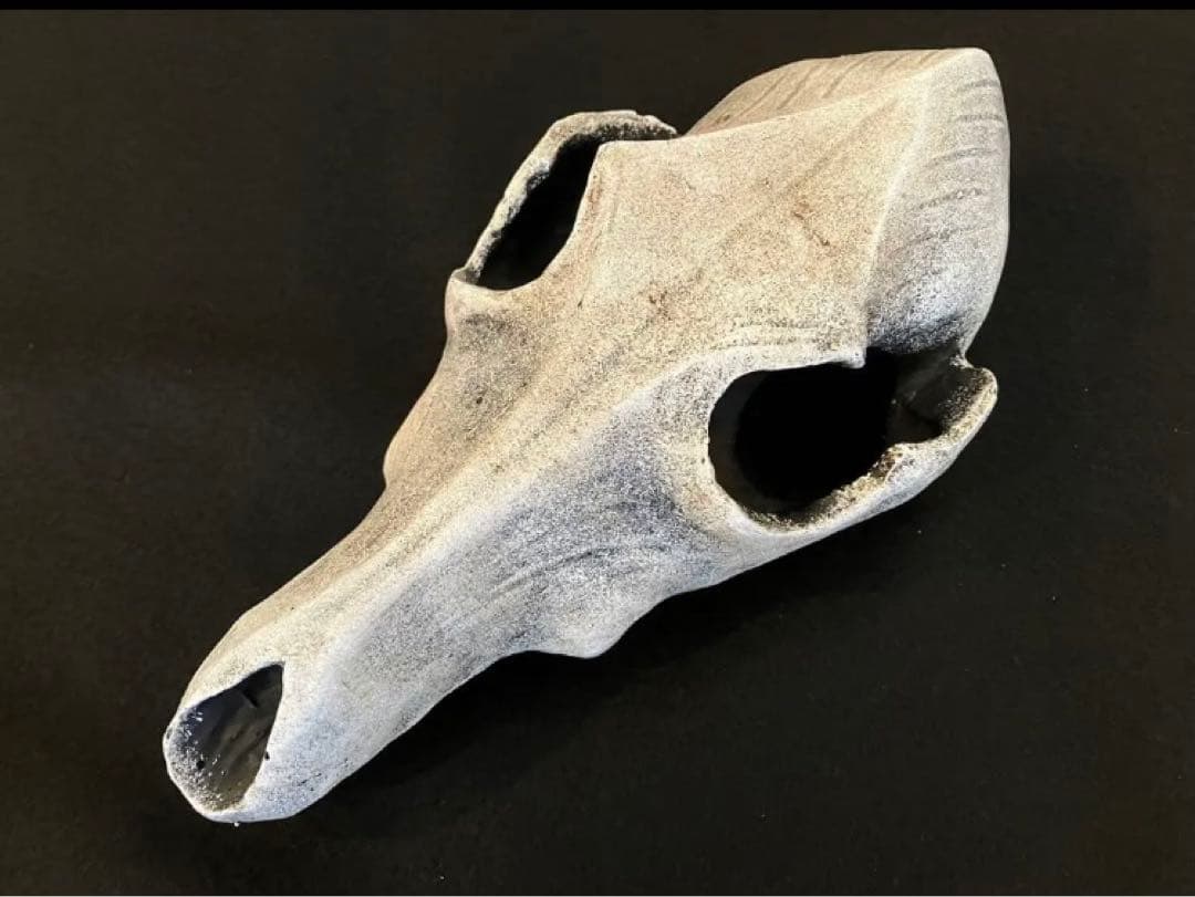 ACQ鉢　scull head