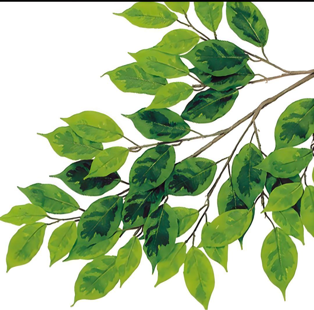 光触媒　人工観葉植物　フェイクグリーン　ベンジャミナスプラッシュコアッド