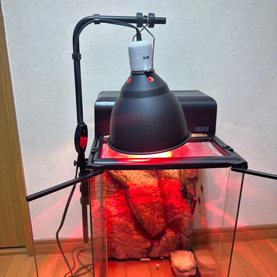 グラステラリウム 3045