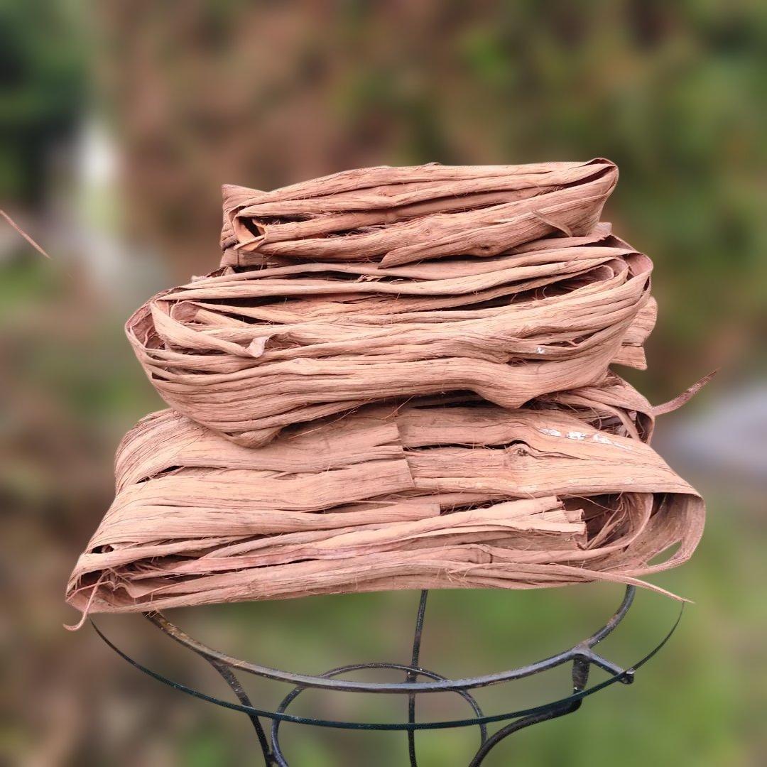 さーちゃん 青森岩木山産 山葡萄 皮 樹皮 約2kg+B品3kg