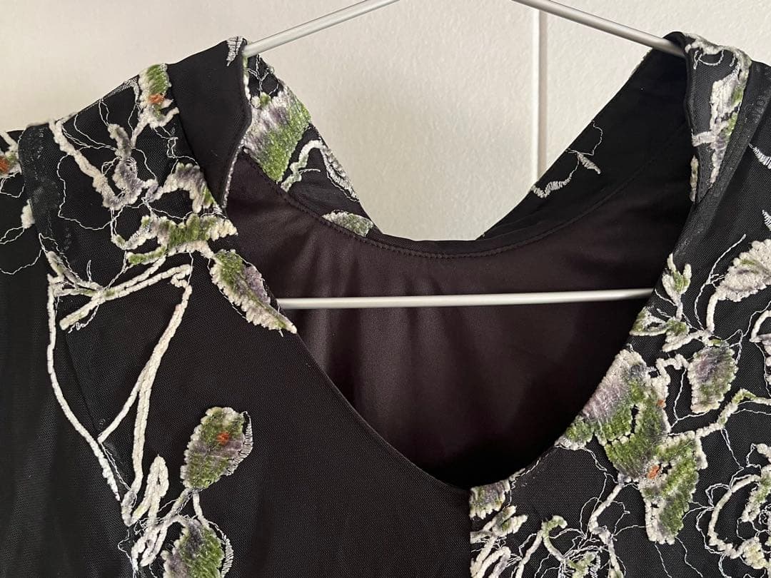 【Ameri】2WAY WILD ROSE CANVAS ART DRESS