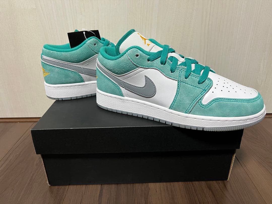 ナイキ NIKE エアジョーダン1 DO8244-301