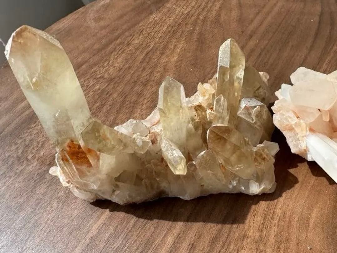 サヤカ  シトリン クラスター