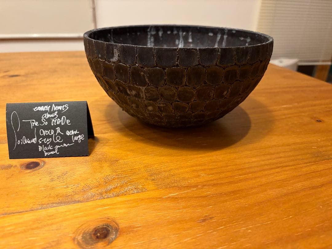 earnest hearts 検】アーネストハーツ　鉢　パキプス 塊根植物