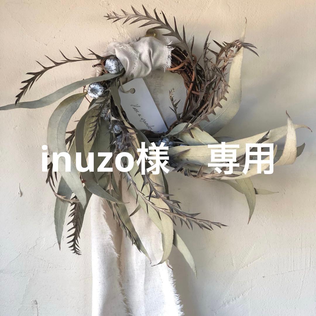 inuzo　mサイズ