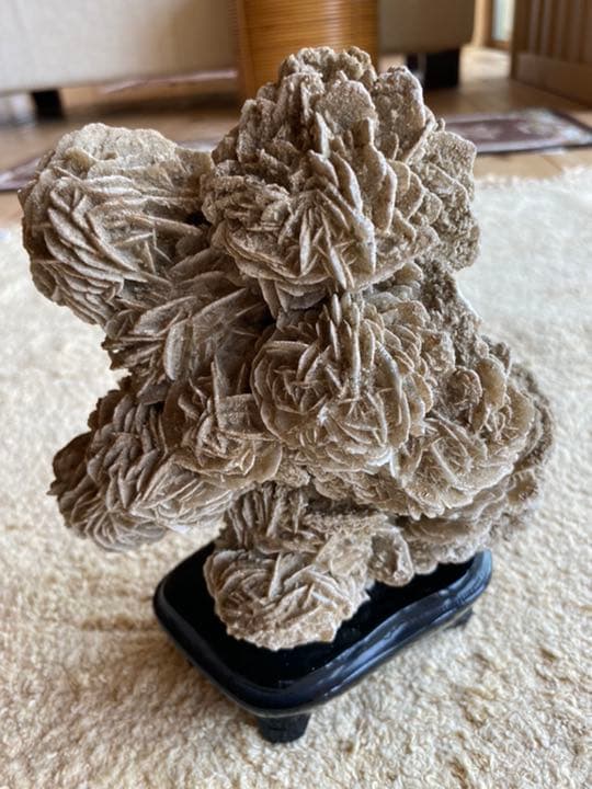 鑑賞石