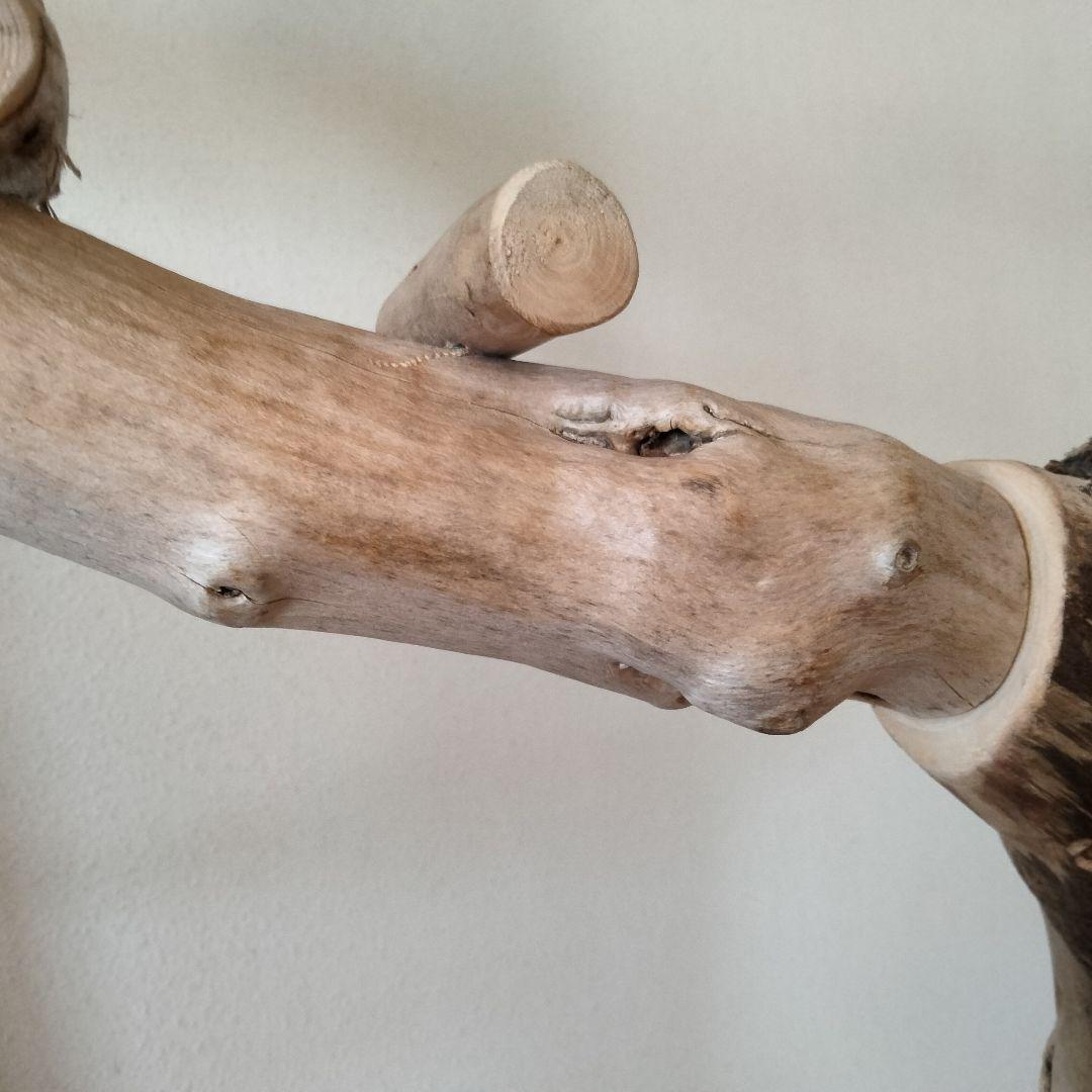 ocean バードアスレチックジム 天然木 自然木 流木 止まり木 インコ