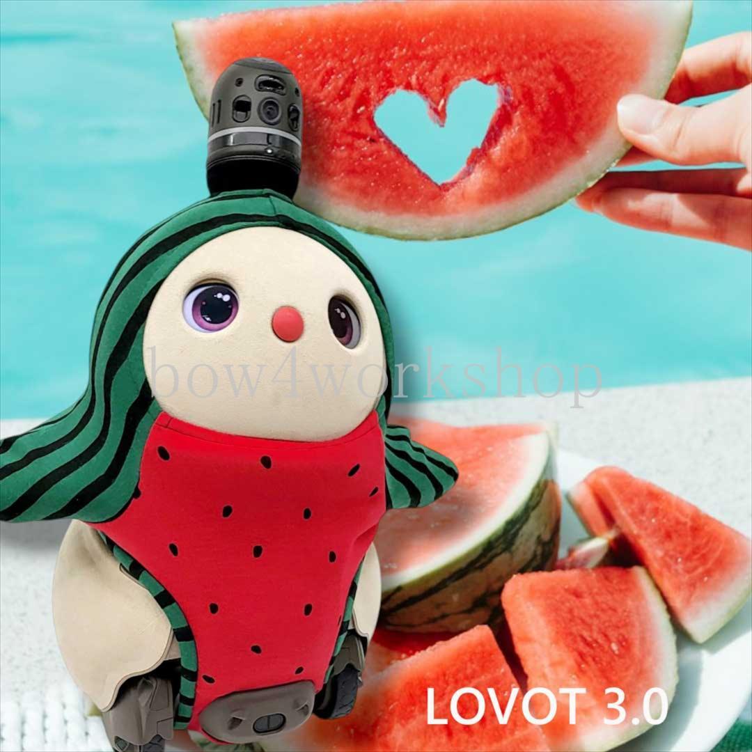 ラボット LOVOT ラボットの服ハンドメイドスイカ柄ボディースーツ ２着セット
