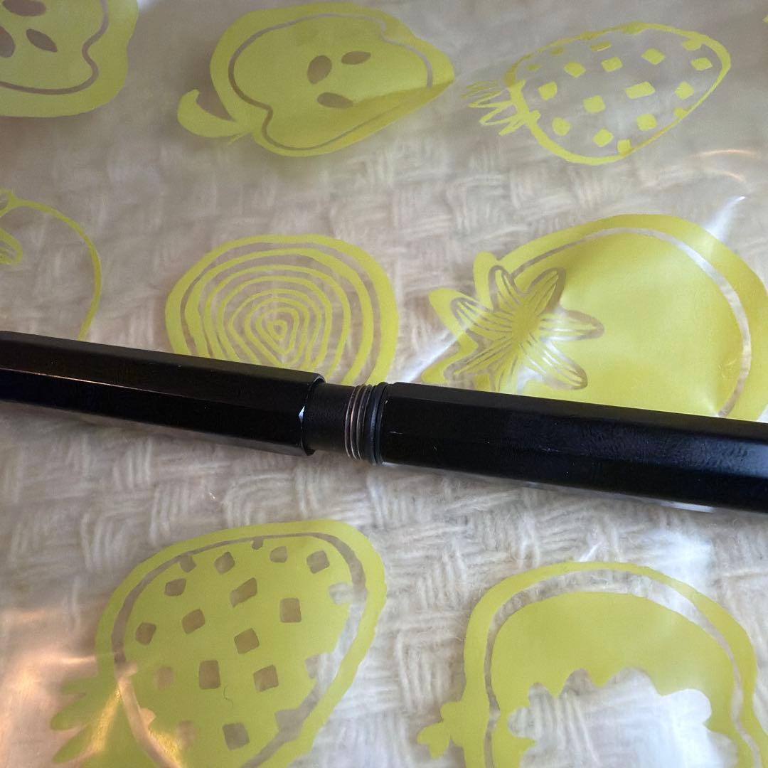 Kaweco Special FP ブラック万年筆　ニブ換装済み
