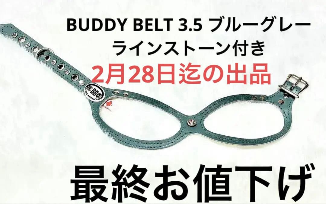 BUDDY BELT 3.5 ブルーグレーラインストーン付き
