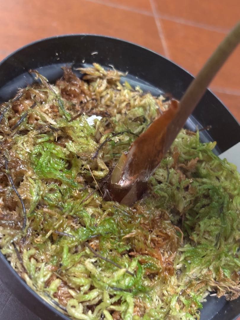 PlantsLab アマゾニカ ヴェノム ベノム VENOM