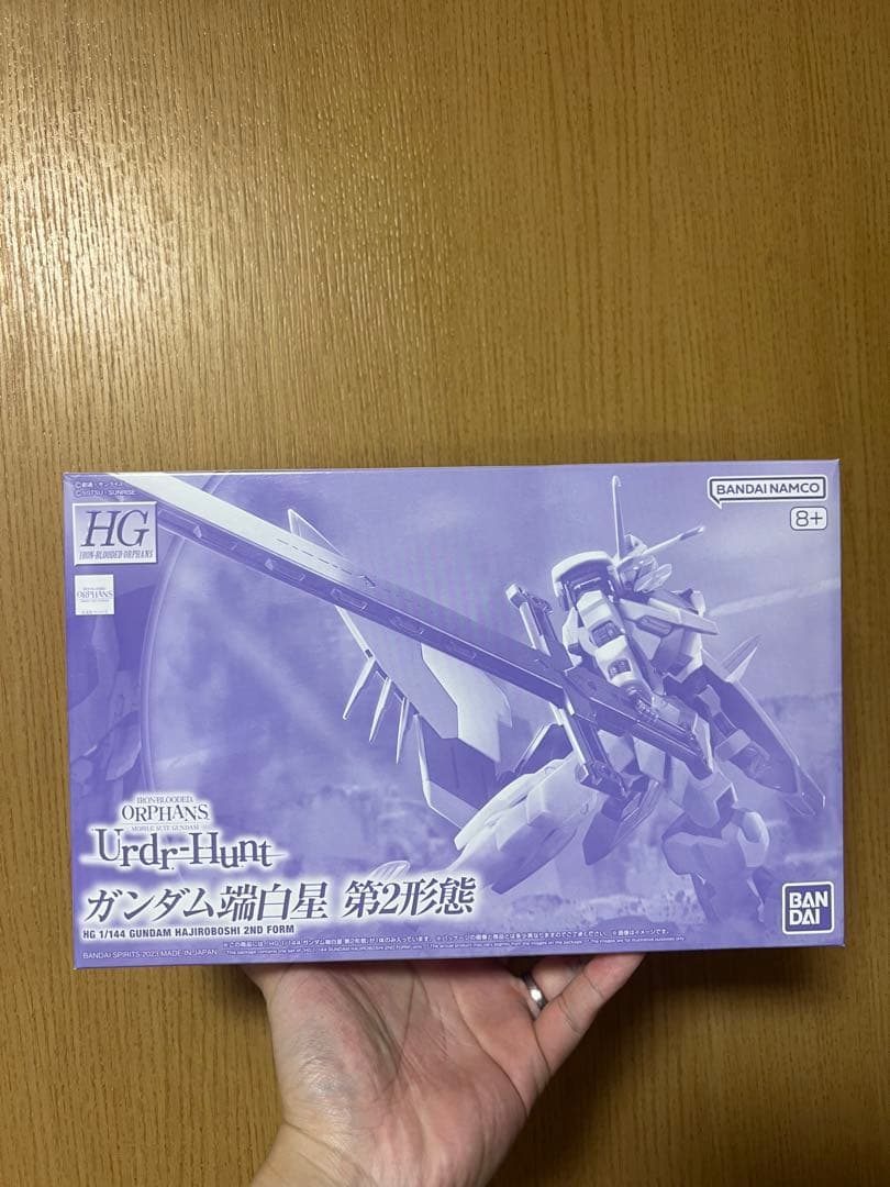 HG 1/144 ガンダム端白星 第2形態