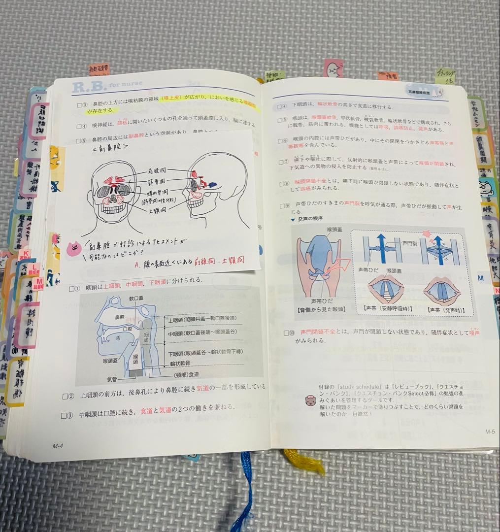 看護師　レビューブック 2020 書き込み