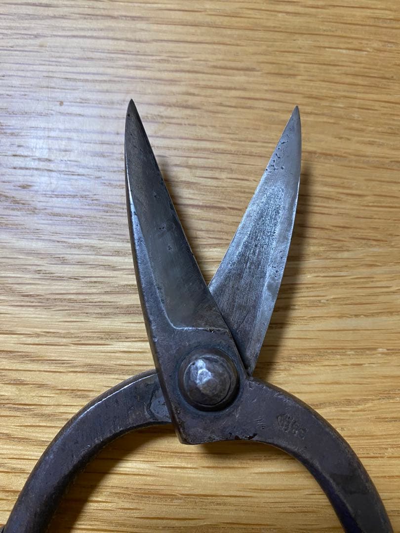 金光　五代金光　植木鋏　刃長