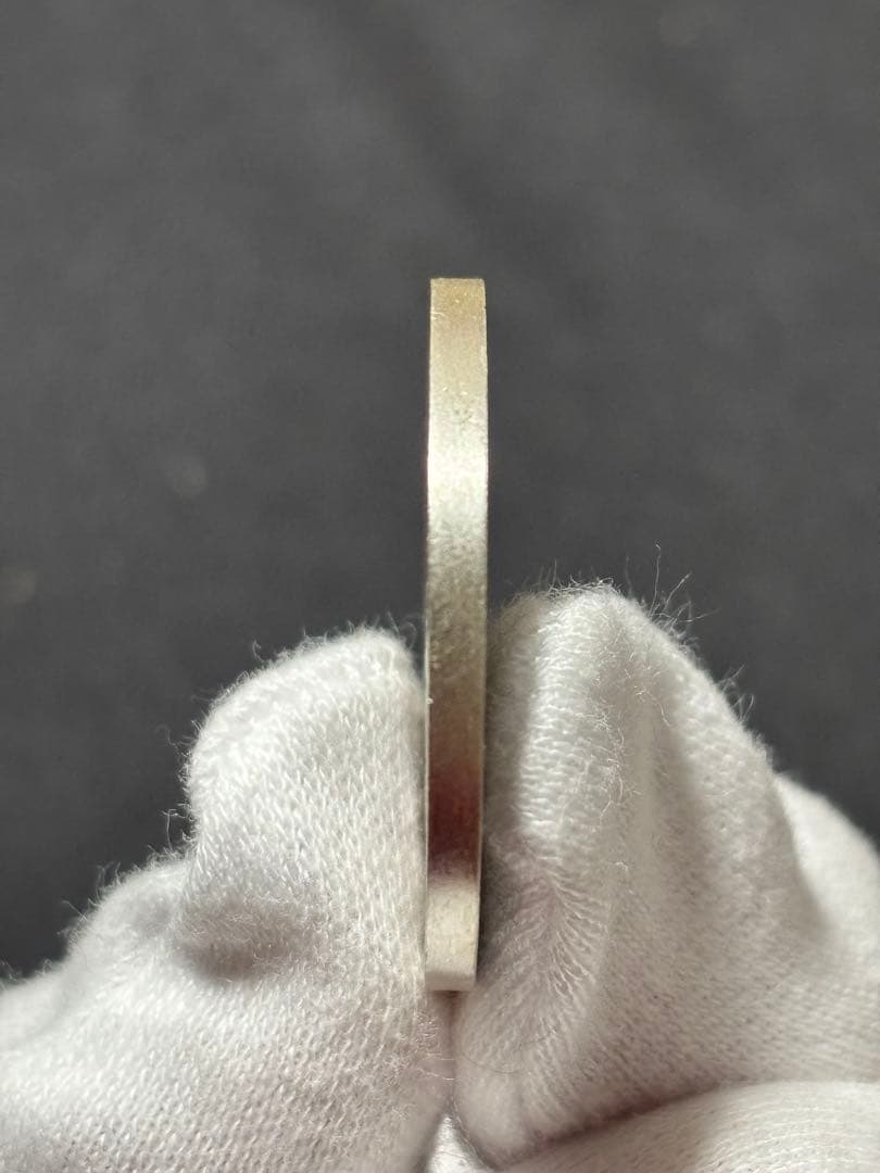 【希少！レア】国際デザインコンペティション2007「愛の物語」純銀メダル！