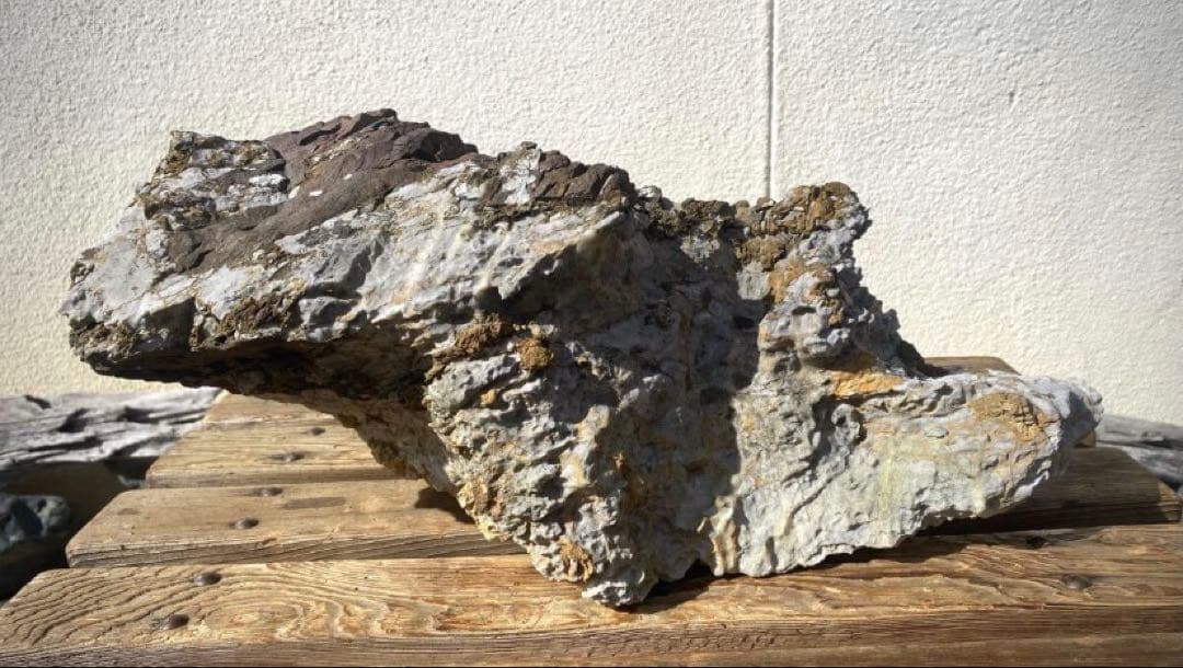 6988 揖斐川太湖石 ウブ 横42cm 14kg