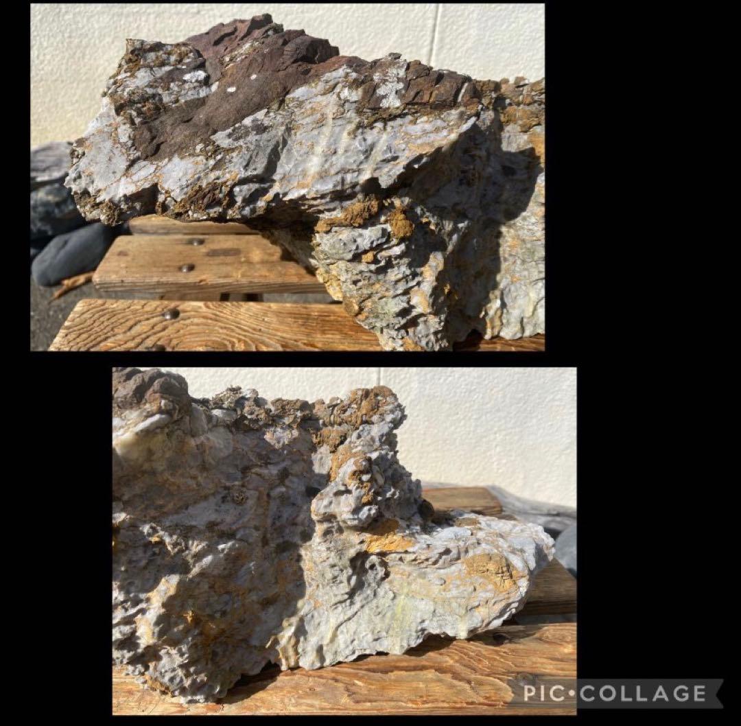 6988 揖斐川太湖石 ウブ 横42cm 14kg