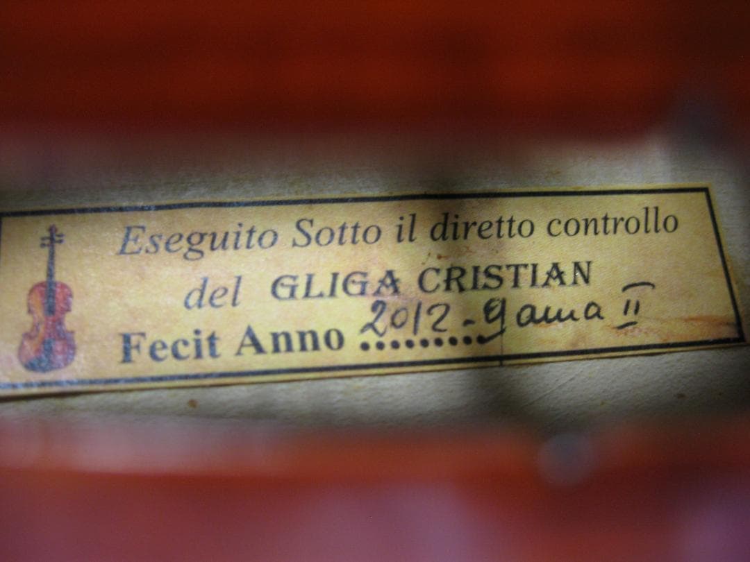 【極上品豊響】 グリガ Gliga Gama 2 ビオラ 15.5インチ セット