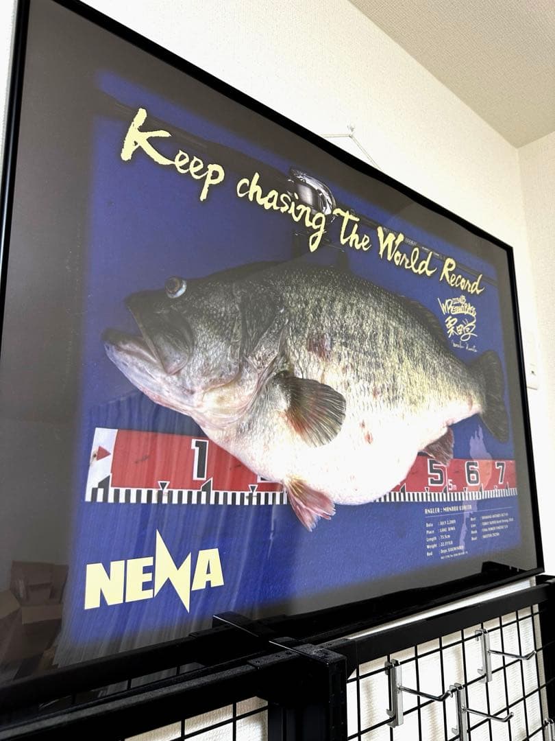 額縁入り　NENA/ネーナ　実物大　ワールドレコードブラックバスポスター