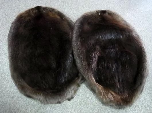 ビーバーの毛皮（Lサイズ）