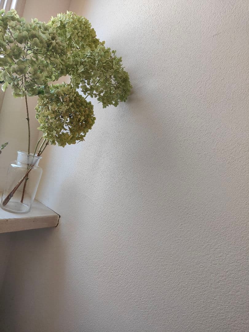 タンポポ様紫陽花アナベルドライフラワー