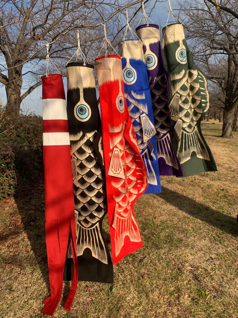 歌川広重「名所江戸百景 水道橋駿河台」手染め鯉のぼり　緑　1.5mセット鯉のぼり