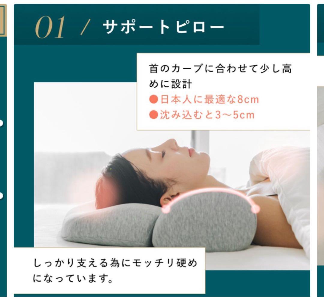 美品！替カバー付！ホットピロー CALQS カルクス SurvaQ サバキュー