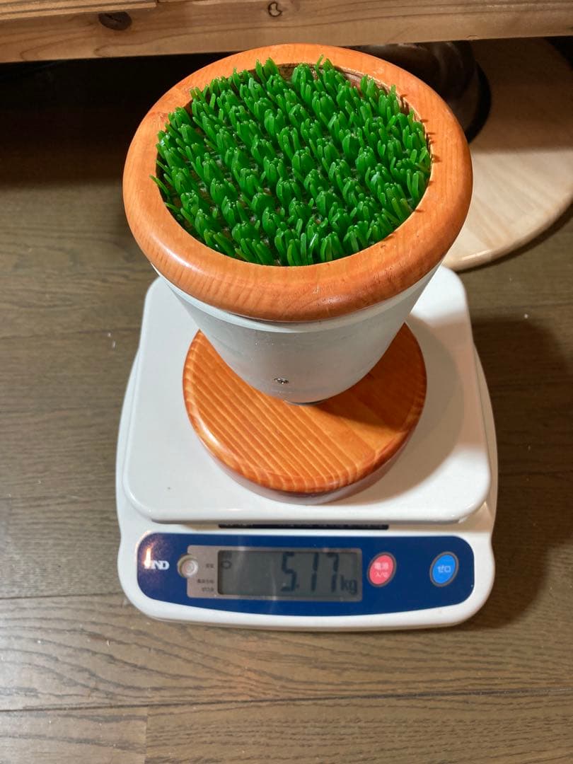 中型ファルコンブロック、猛禽パーチ（屋内用Mサイズ）