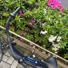 シティサイクル ネイビー 26インチ