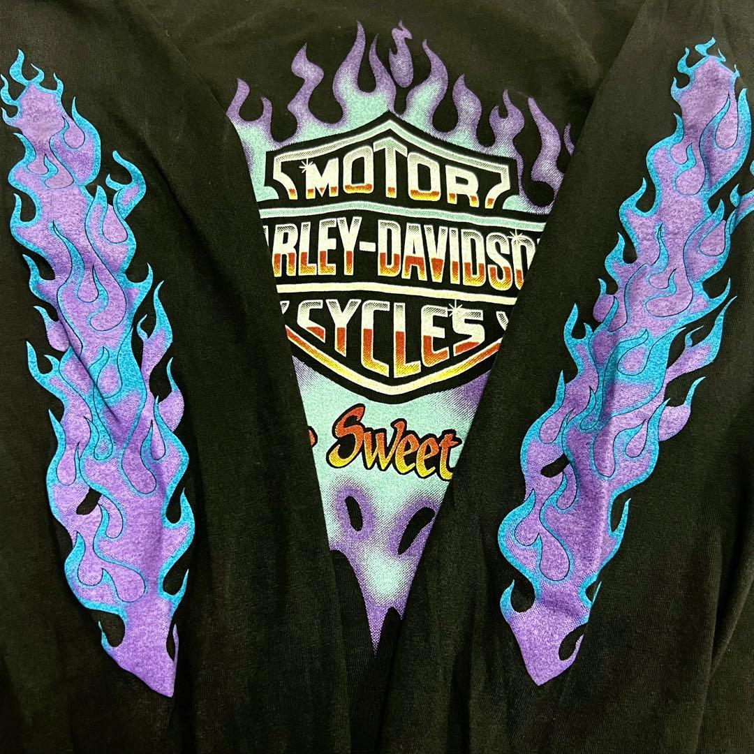 USA製 ハーレーダビッドソン ブルーフレイム 長袖 ロンT ブラック L