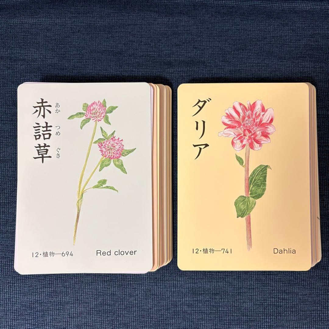 家庭保育園 たのしい絵カード1500 ABCセット CD付き フラッシュカード