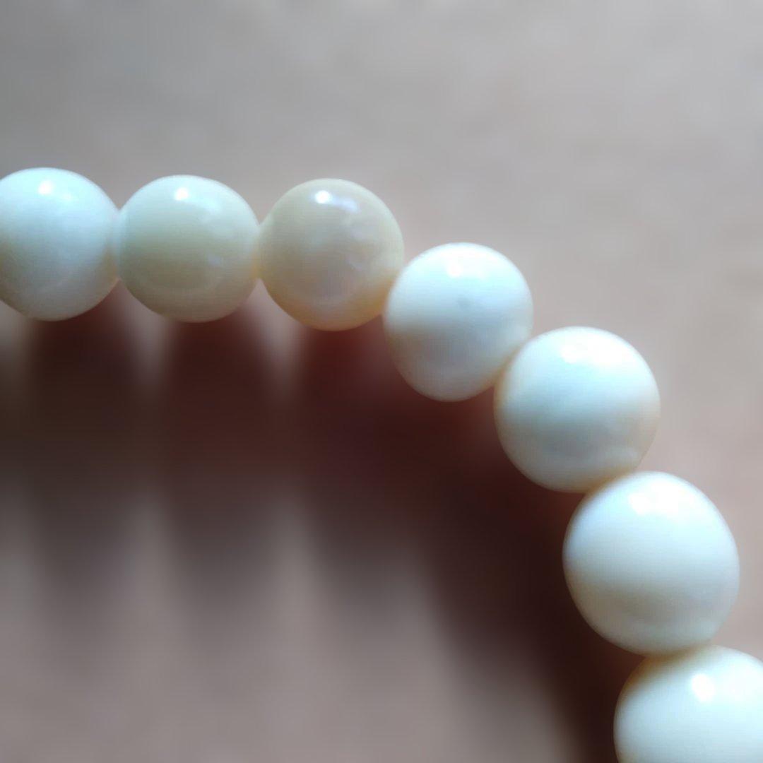 鯨歯　マッコウ鯨　牙玉ブレスレット　19㎝