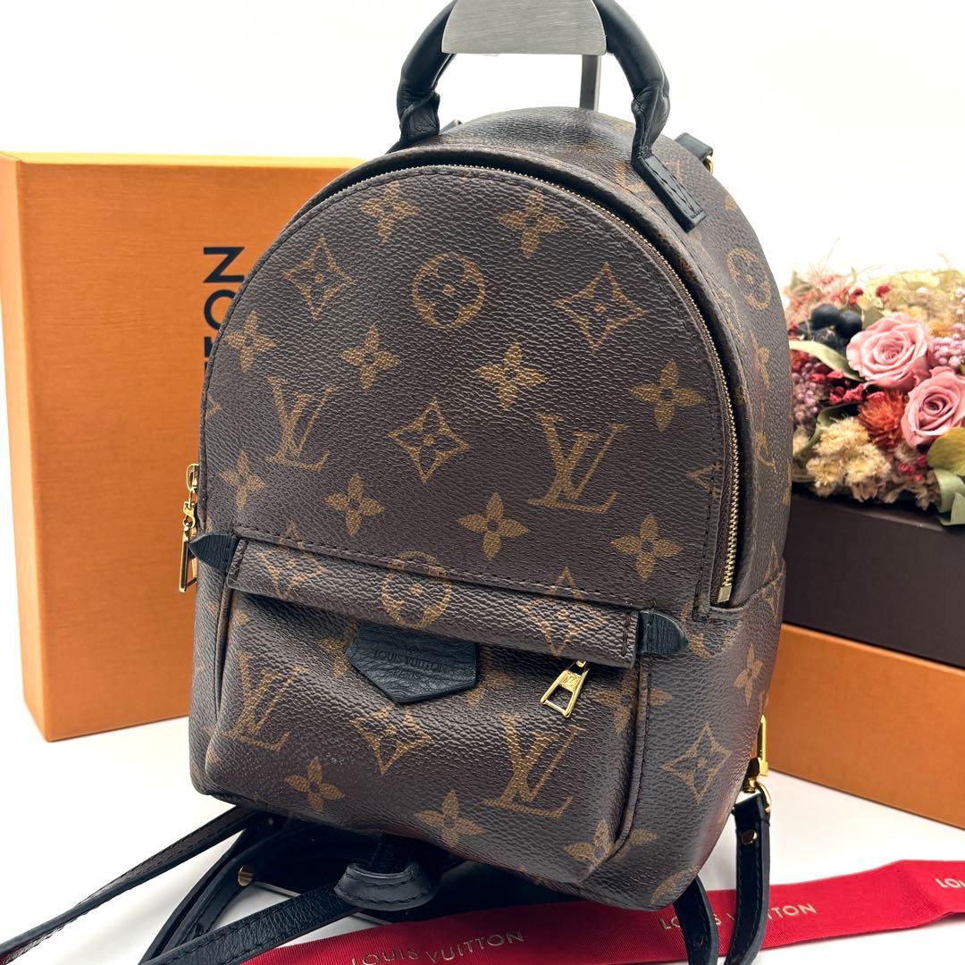 ルイヴィトン パームスプリングス ミニ バックパック リュック M41562