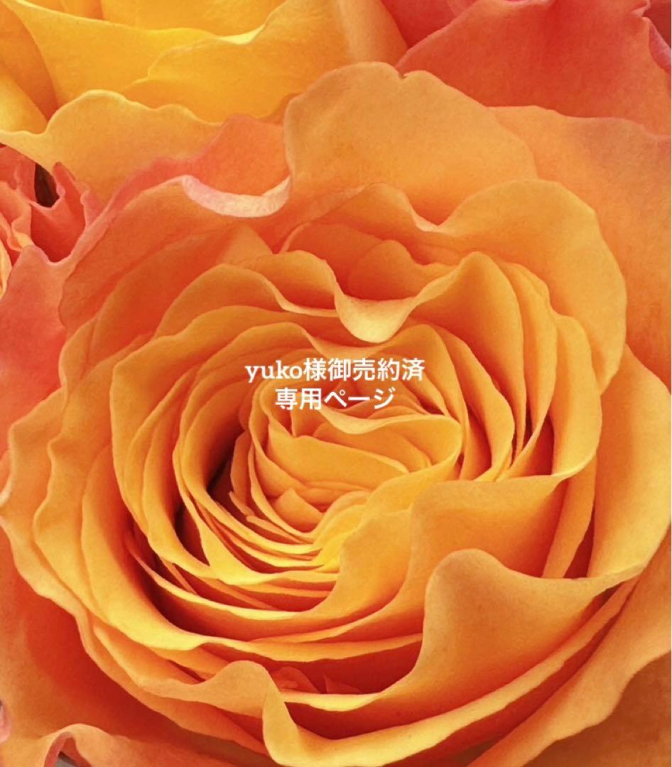 専用◇ロイヤルコペンハーゲンブルーフルーテッドプレインプレートペア23.5c未使