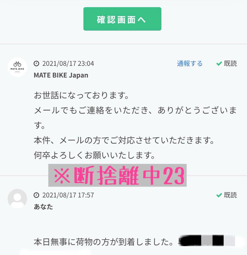 MATE X 250 電動 自転車 デザートストーム