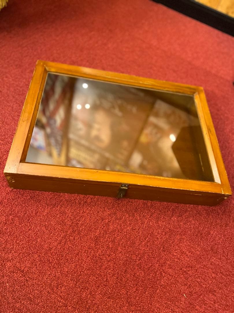 ガラスケース ウッド ショーケース 大きめ コレクションケース オブジェ