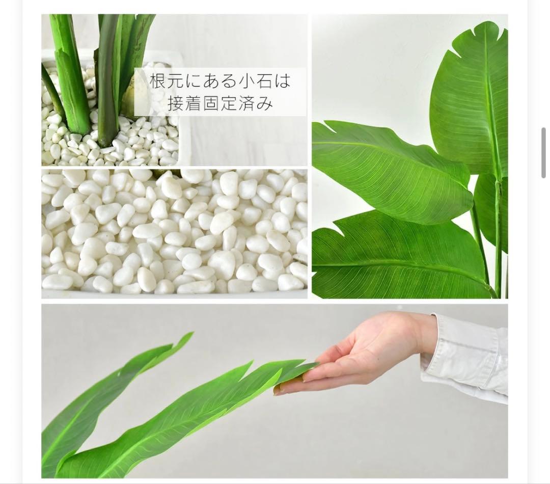 人工観葉植物 Augusta オーガスタ