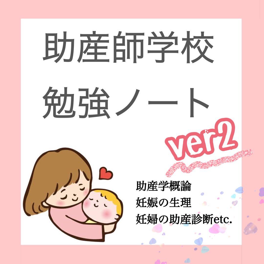 ひろちゃんページ　産科勉強セット