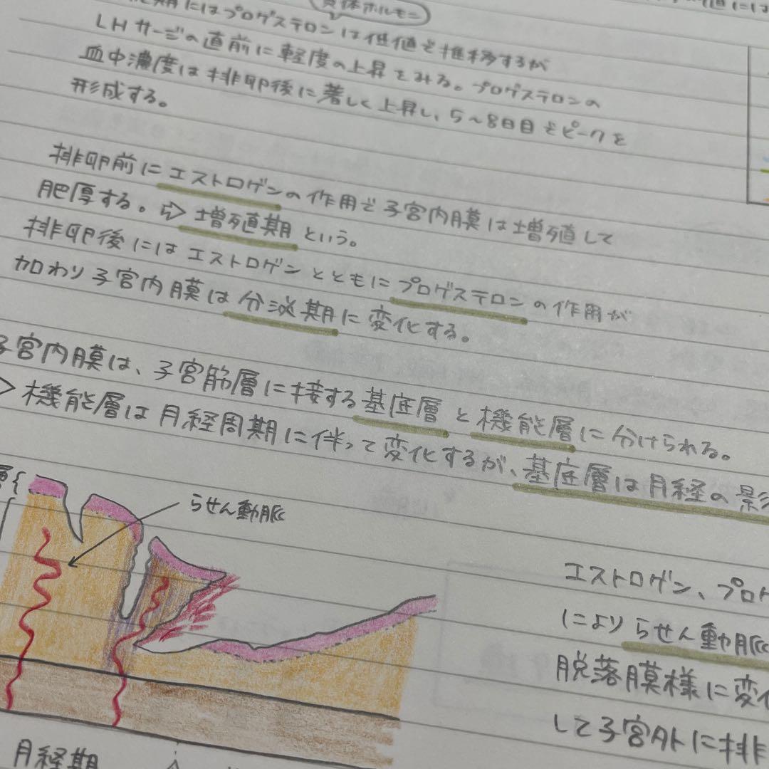 ひろちゃんページ　産科勉強セット