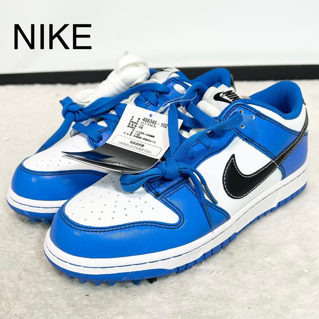 未使用❗️NIKE GOLF DUNK LOW NG SL ゴルフシューズ　25