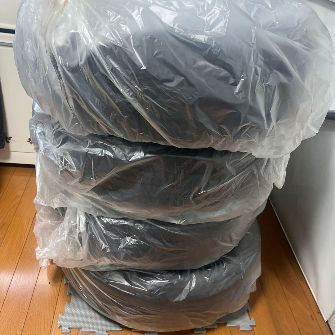 【マッキードッグ】