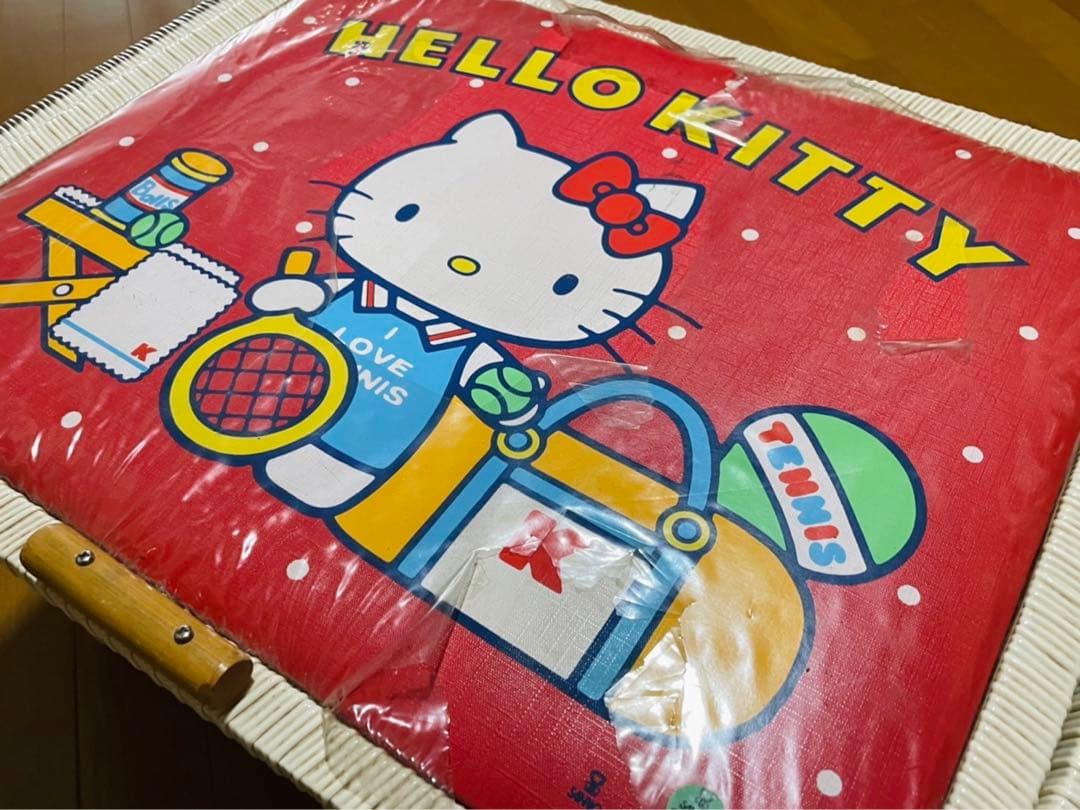 『激レア』レトロキティ 収納ケース