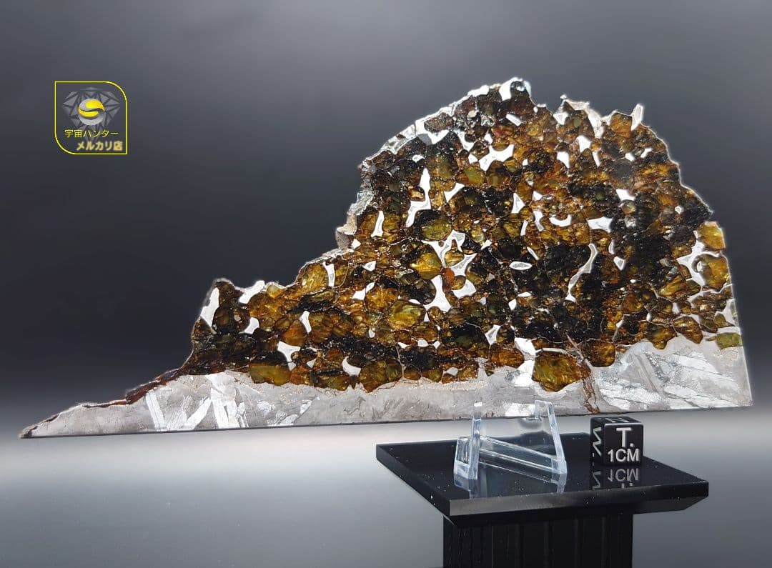 隕石 セイムチャン パラサイト 117.3g ⭐