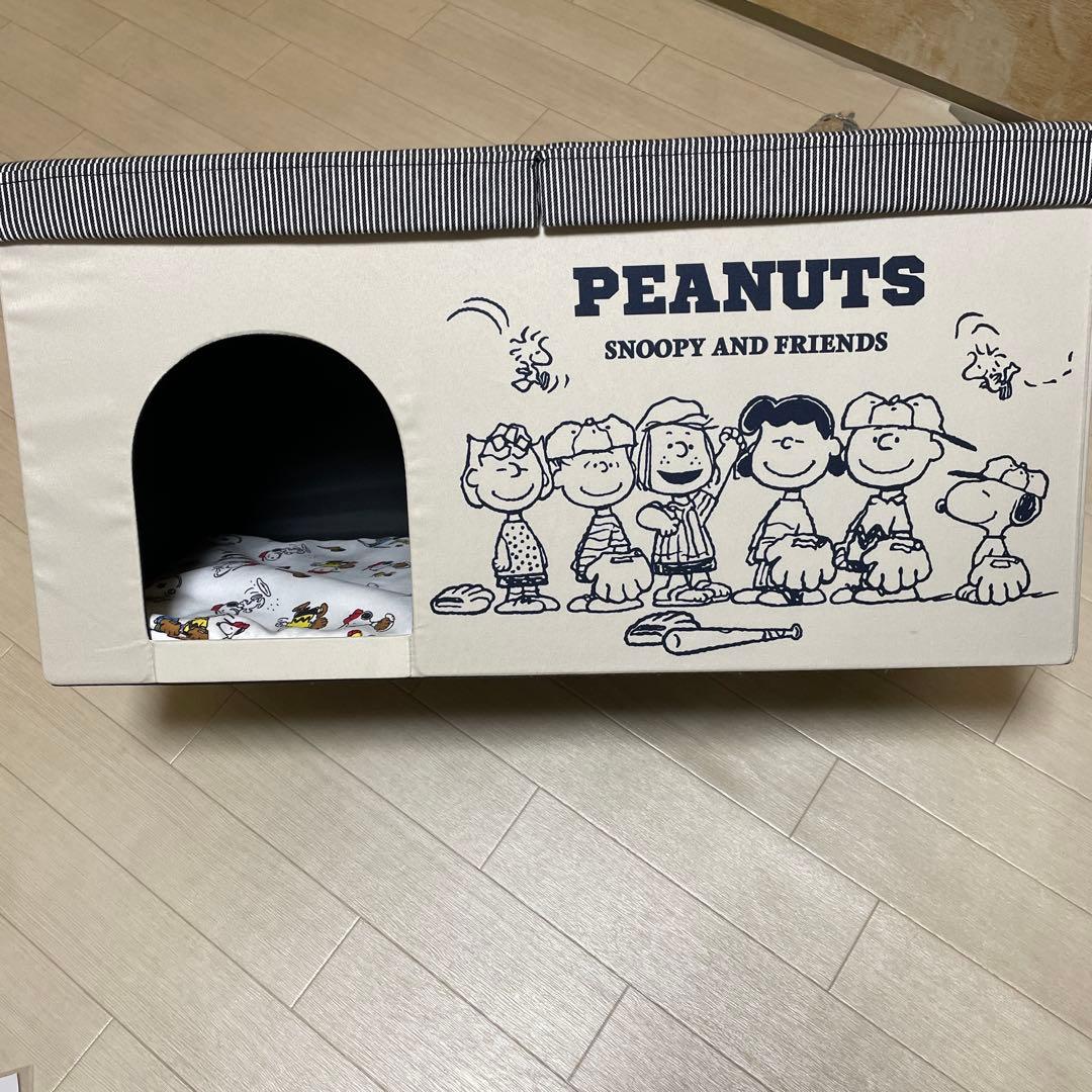 ペットハウス　ペットパラダイス